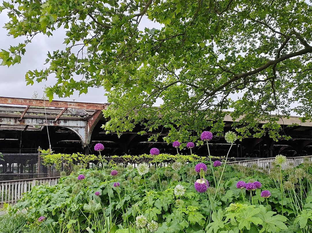 Central Railroad of New Jersey Terminal景点图片