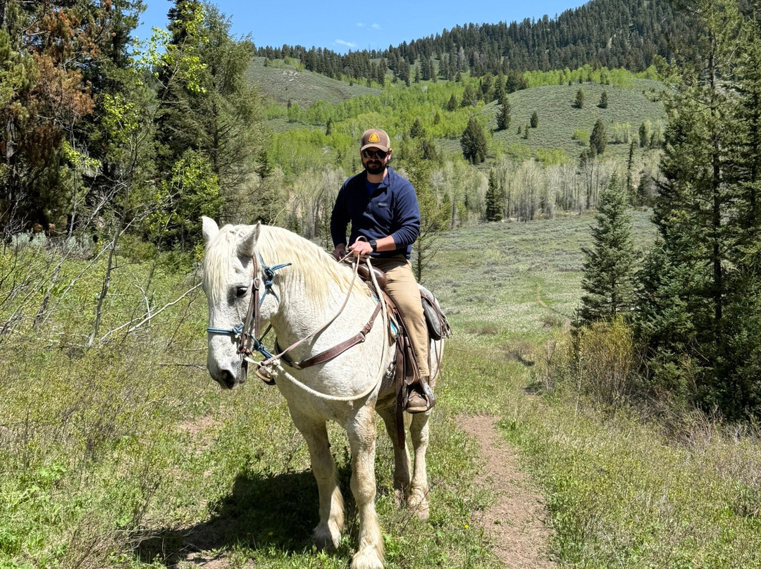 Willow Creek Horseback Rides-杰克逊必去景点