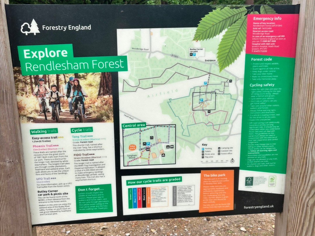 Rendlesham Forest Centre-Woodbridge必去景点