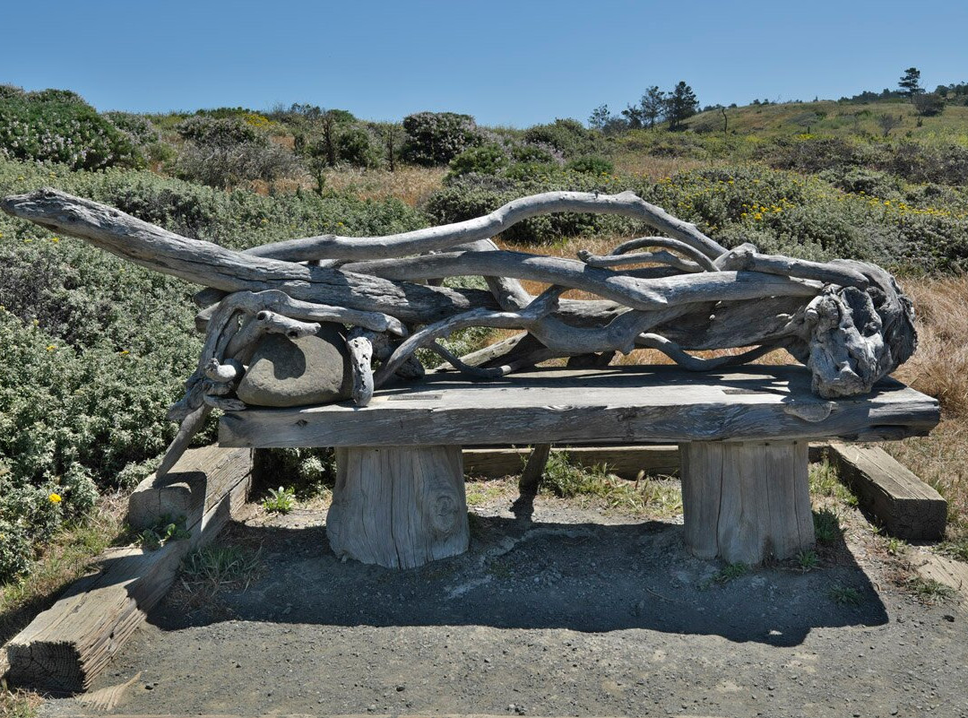 Fiscalini Ranch Preserve景点图片