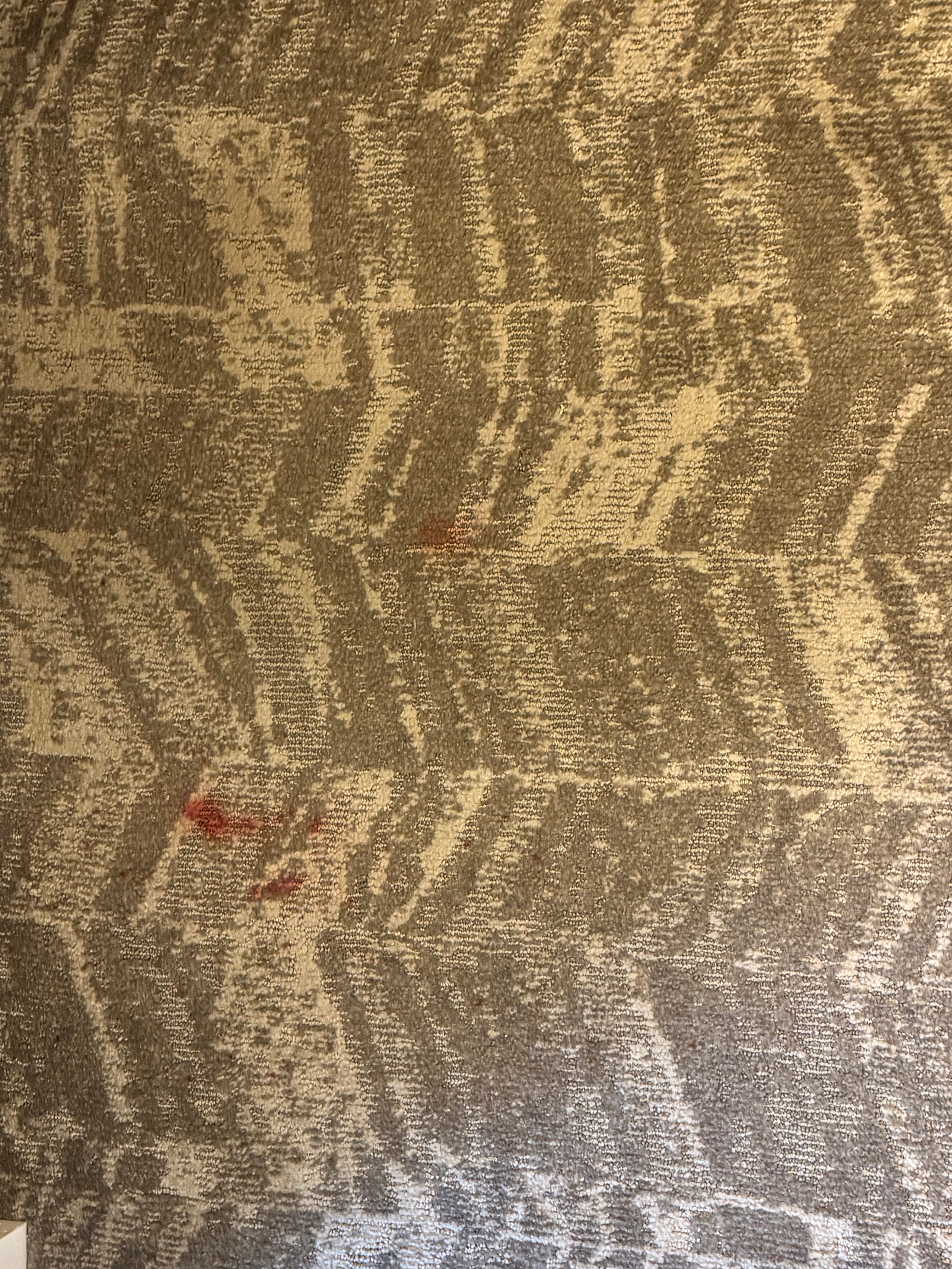 SpringHill Suites by Marriott Centreville Chantilly-酒店景观