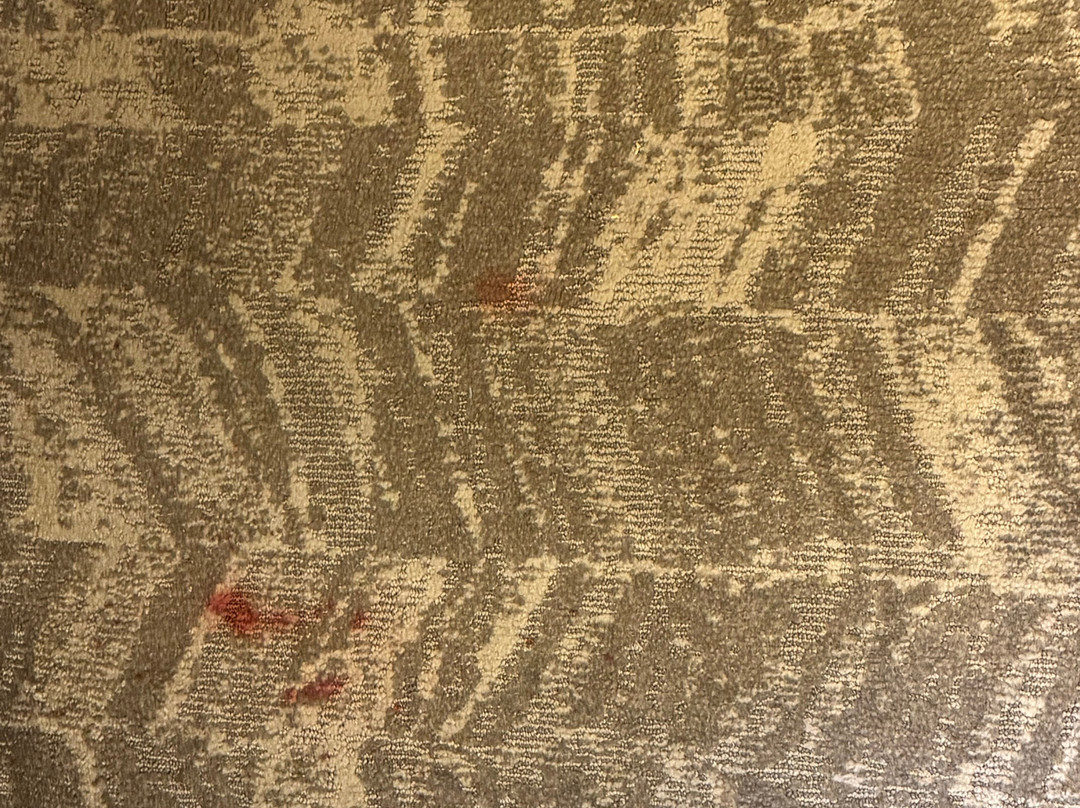 SpringHill Suites by Marriott Centreville Chantilly主图