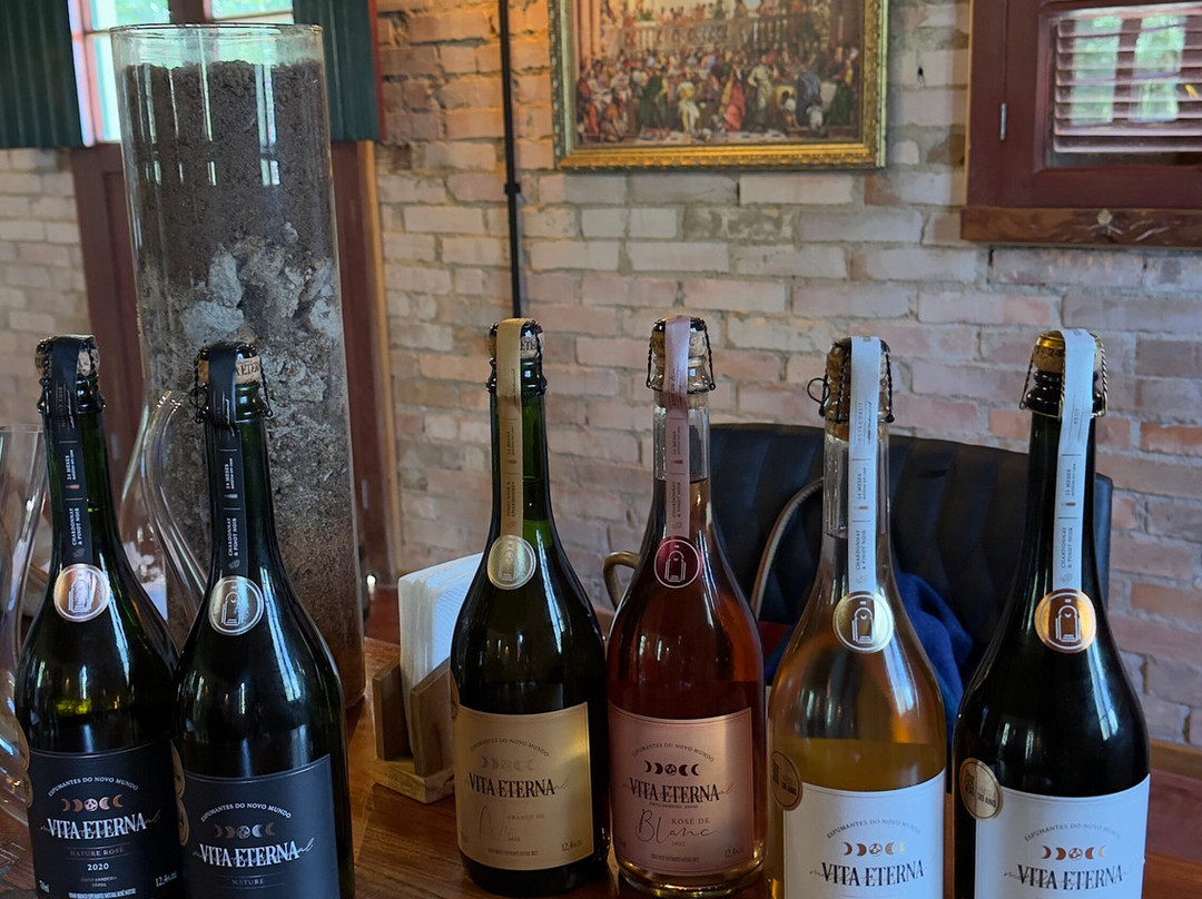 Vinicola Vita Eterna - Degustação e Wine Garden景点图片