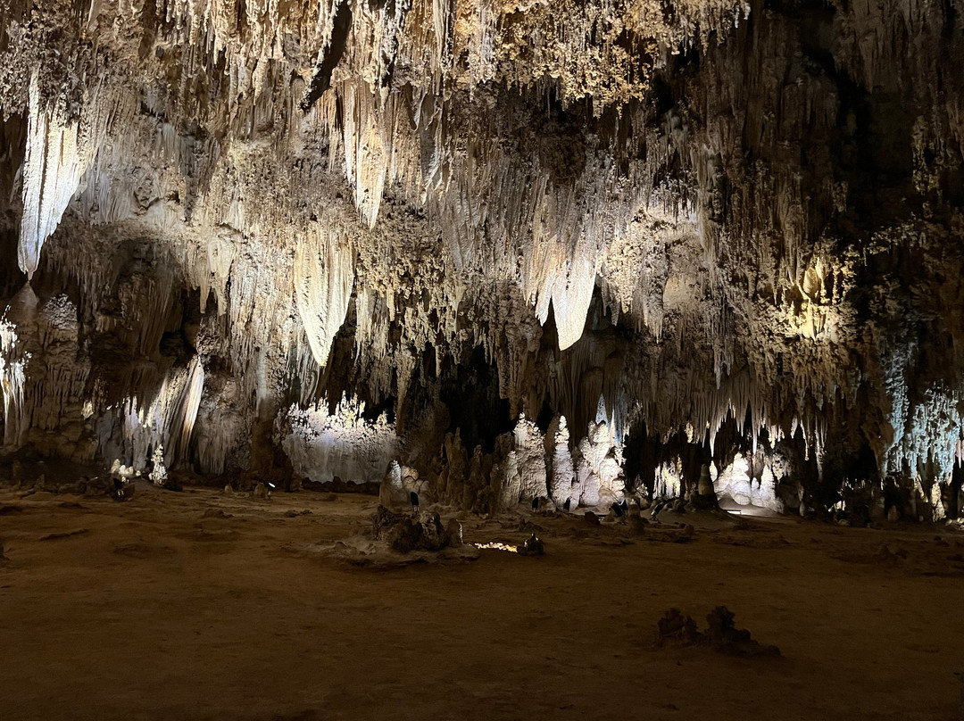 Carlsbad Caverns National Park Visitor Center景点图片