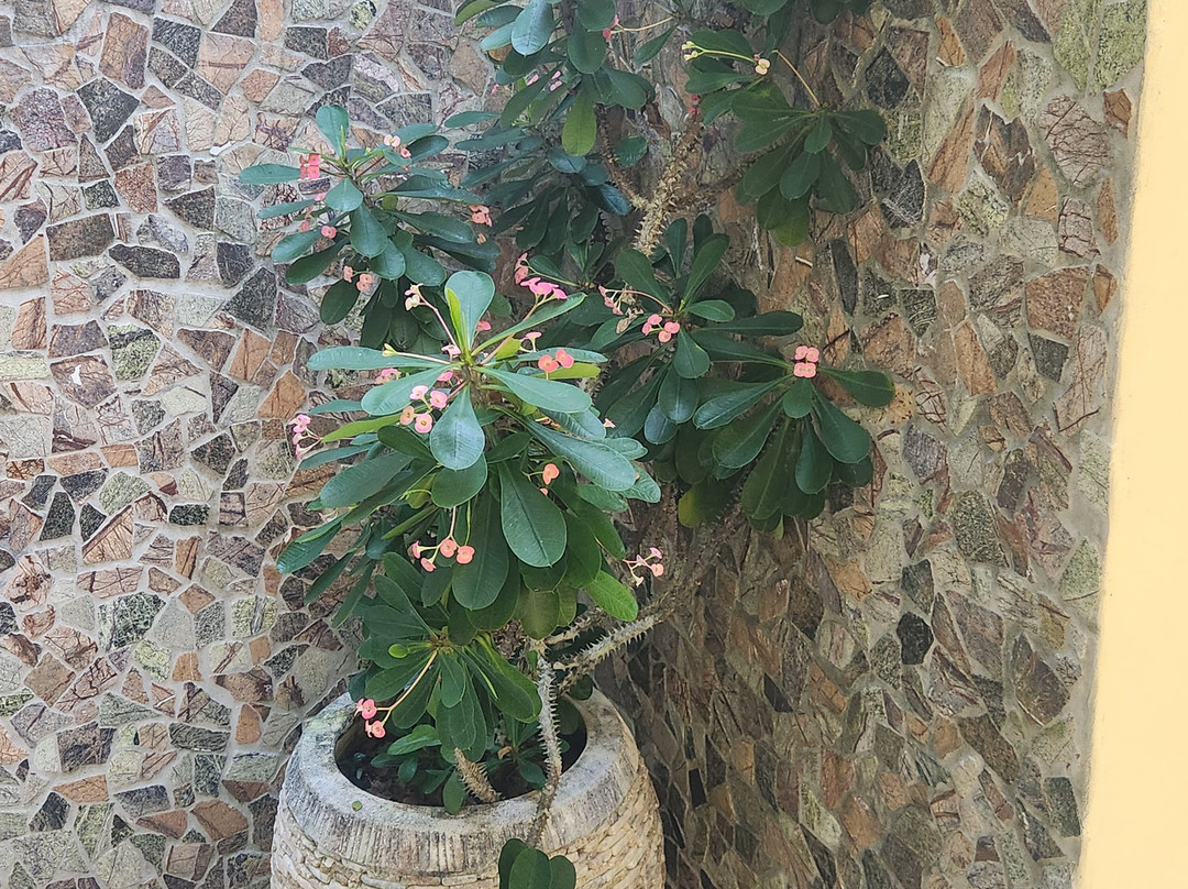 秀湾斐济力特酒店主图