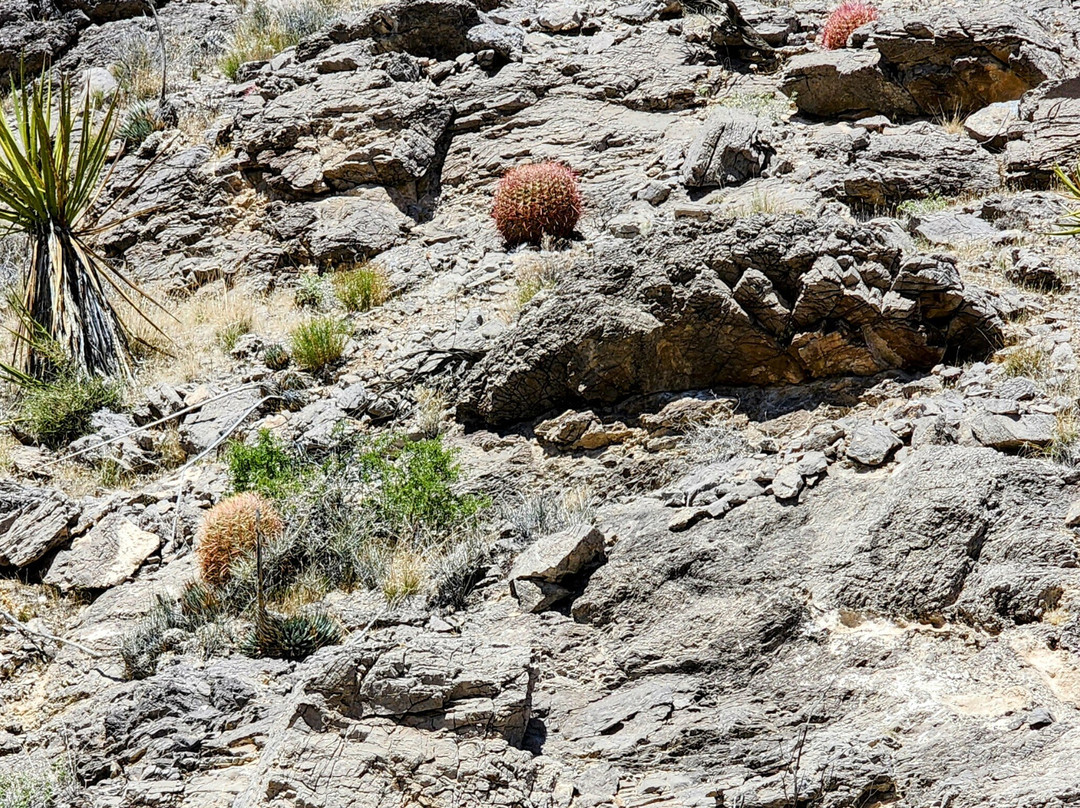 Eaglerider Off-road Tours - Las Vegas-拉斯维加斯必去景点