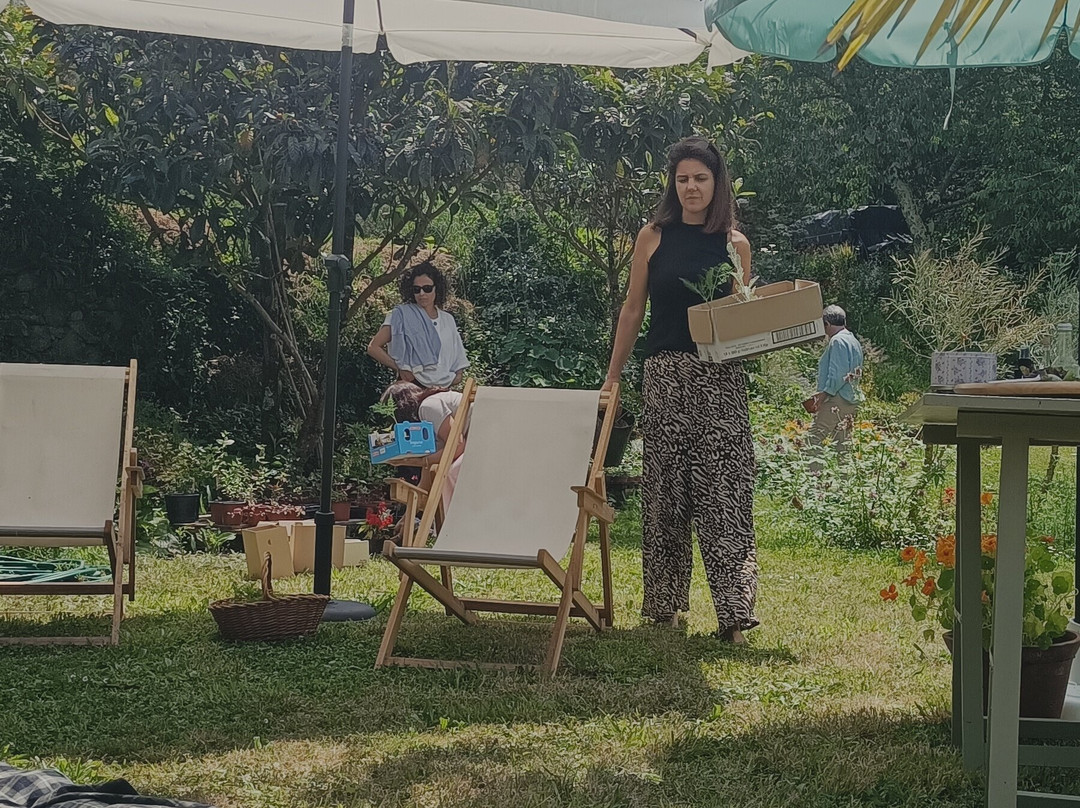 Alfa-flor Casa Y Jardín