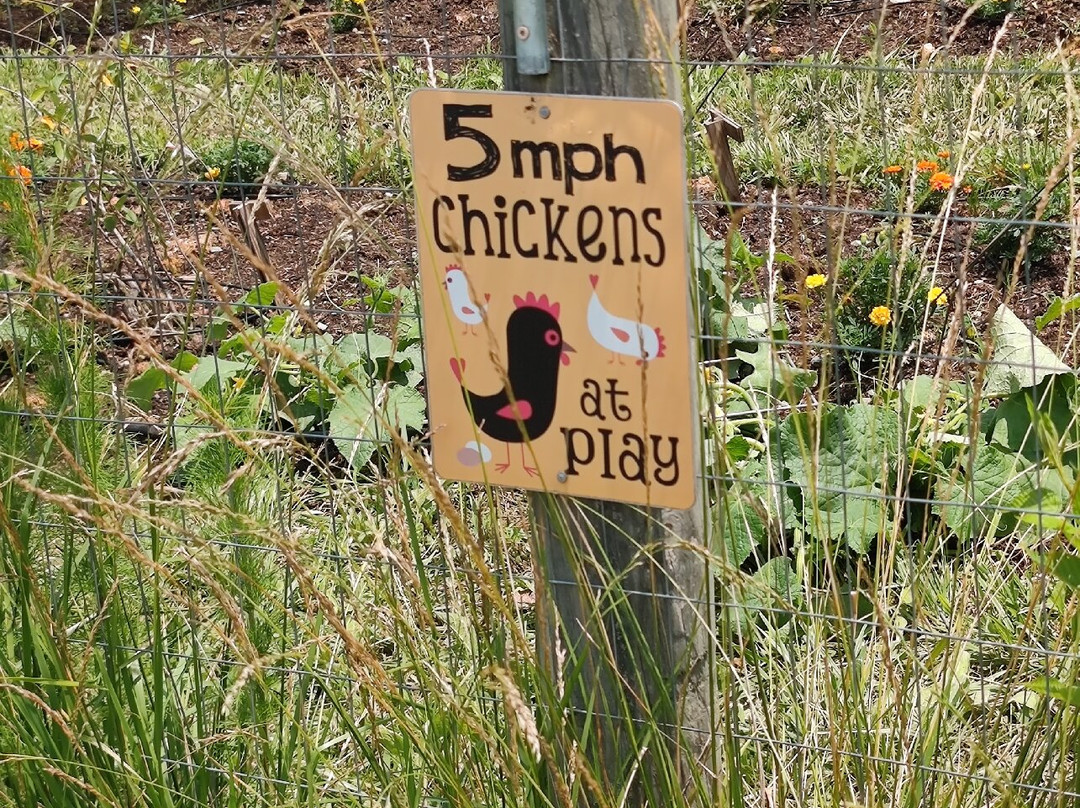 Piedmont Farm Animal Refuge-Pittsboro必去景点