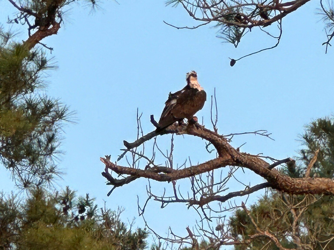 Sand Dollar Cruises-Dewey Beach必去景点