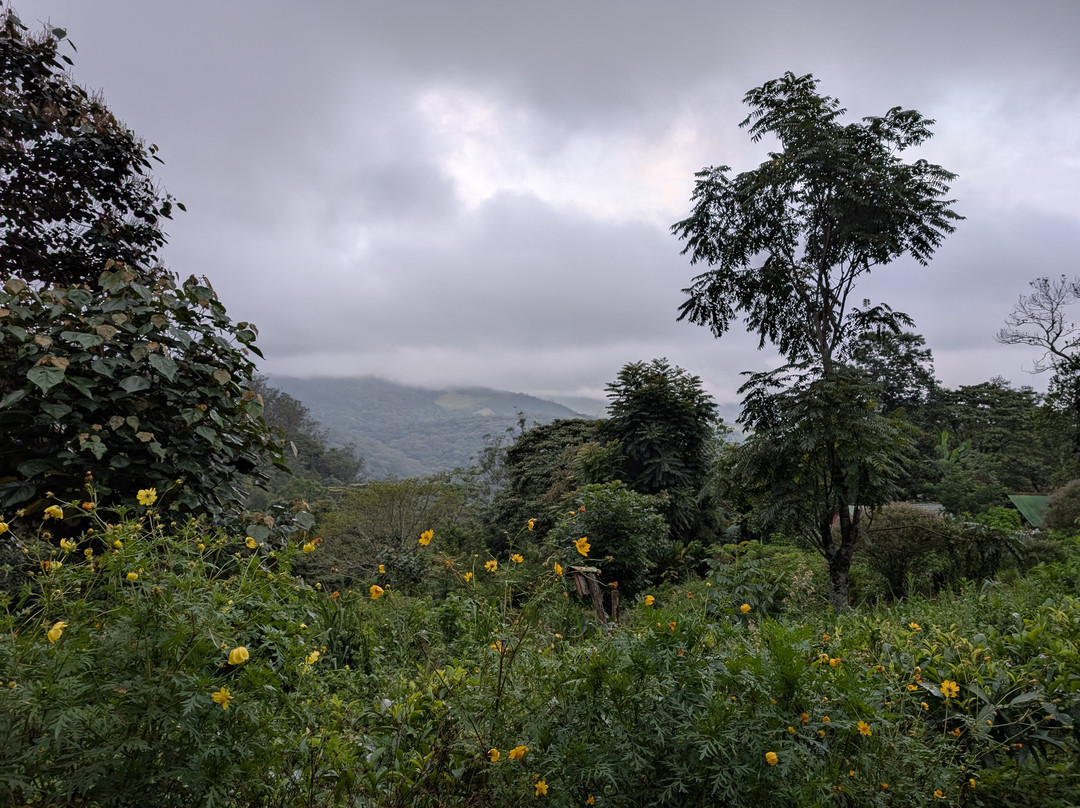 Kandy Trekking Tours景点图片