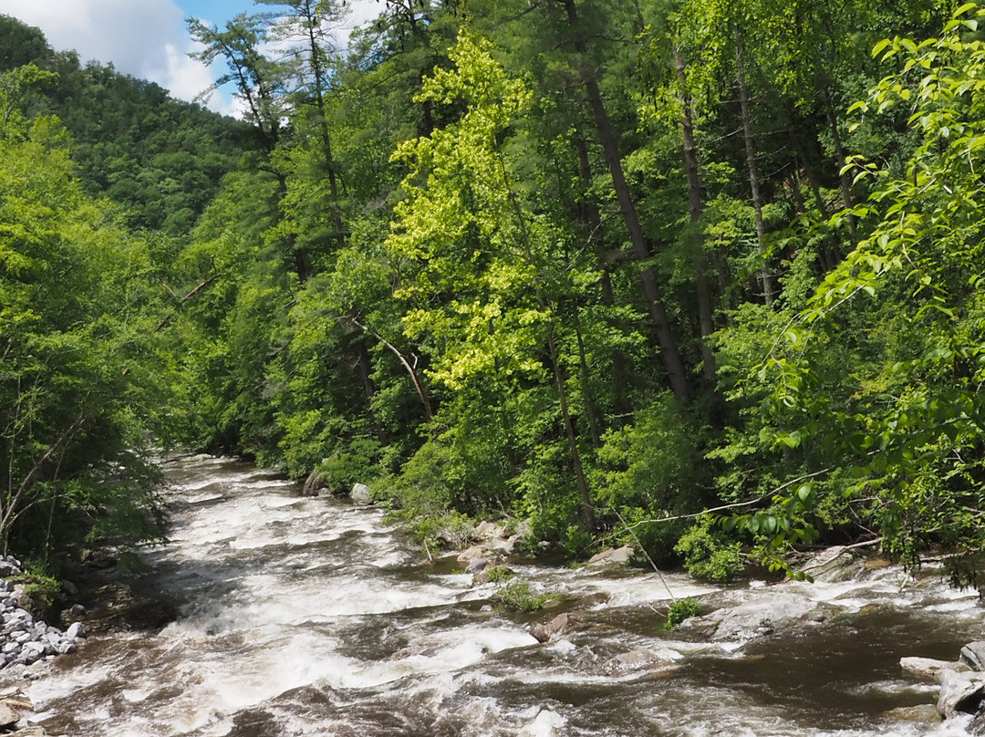Bald River Falls景点图片