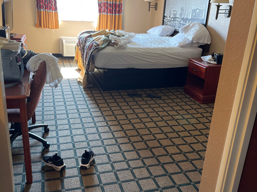 Super 8 by Wyndham Rolla主图