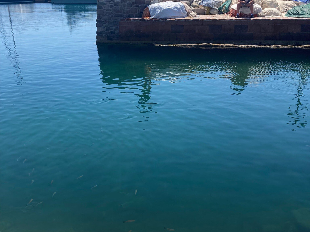 哈里斯公寓式酒店主图