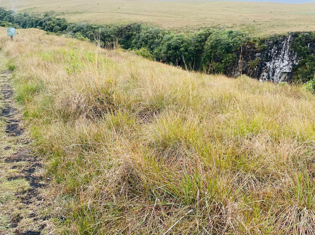 Fortaleza Canyon-Cambará do Sul必去景点