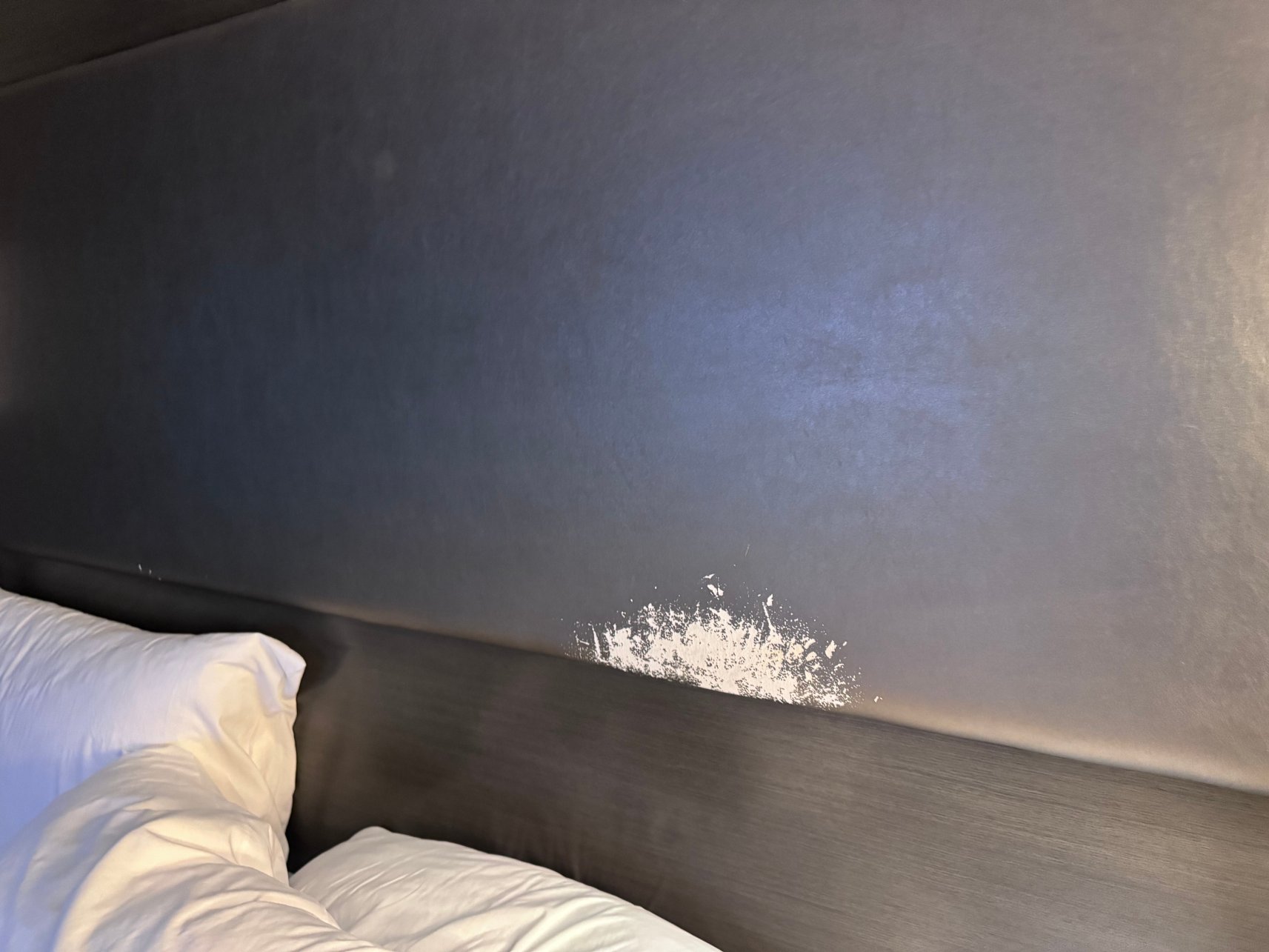 Crowne Plaza 雪兰-客卧