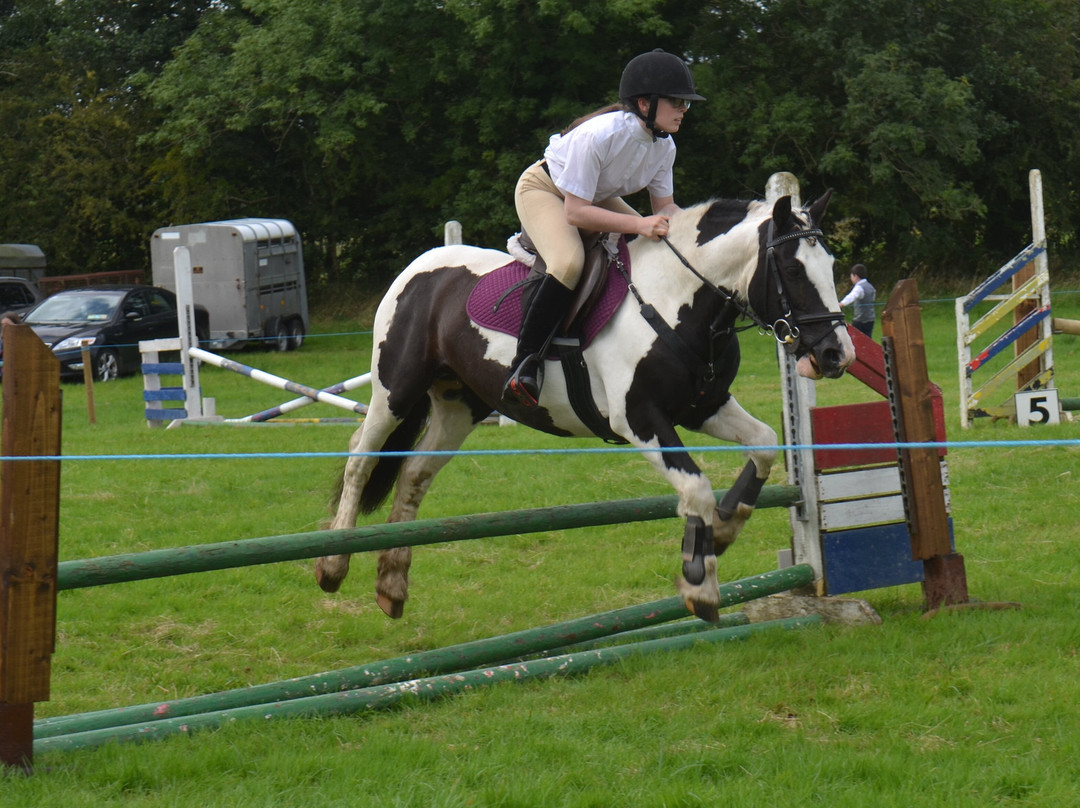 Swinford Agricultural Show-Swinford必去景点