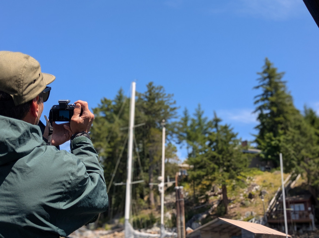 SloCat Harbour Tours-马德拉公园镇必去景点