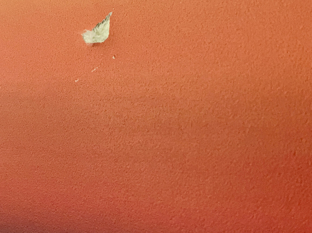 罗彻斯特机场万豪酒店主图