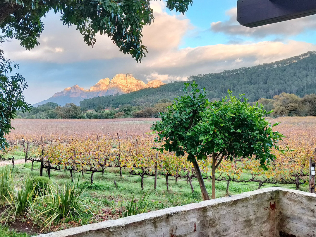 Lynx Wine-法兰舒克必去景点