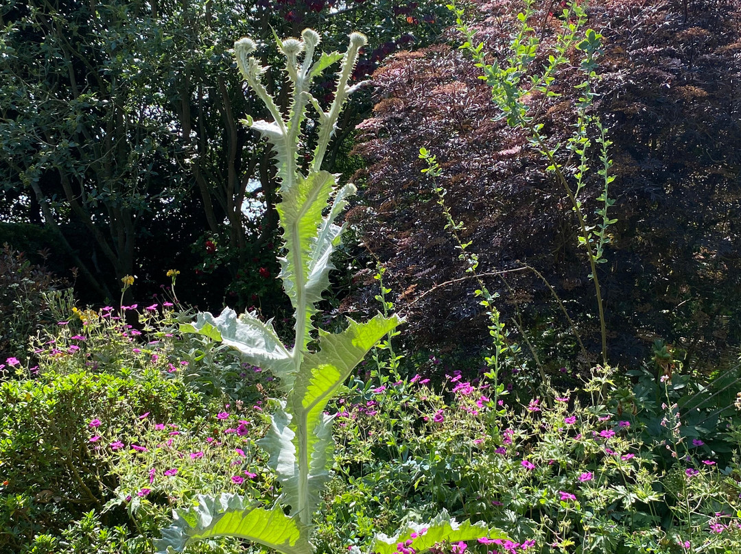 Stillingfleet Lodge Gardens-Stillingfleet必去景点