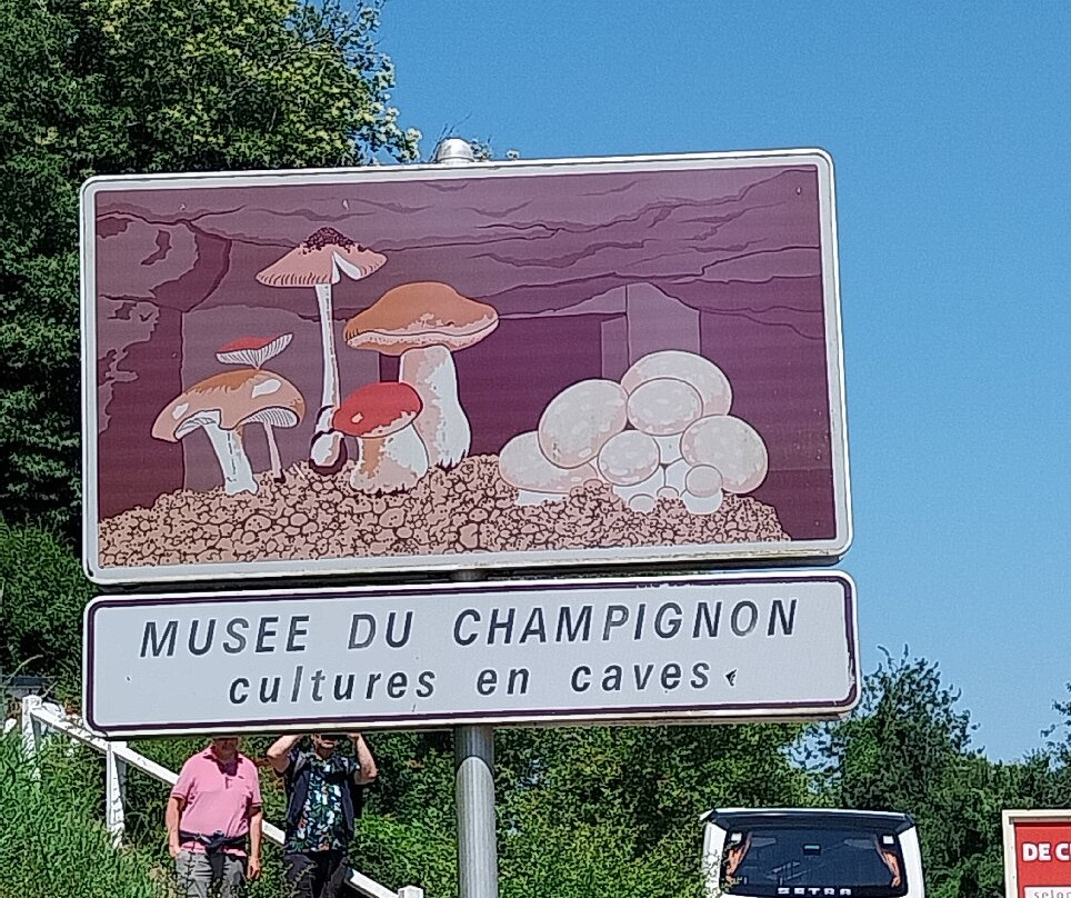 Musée du Champignon景点图片