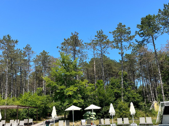 Longosphere Glamping主图