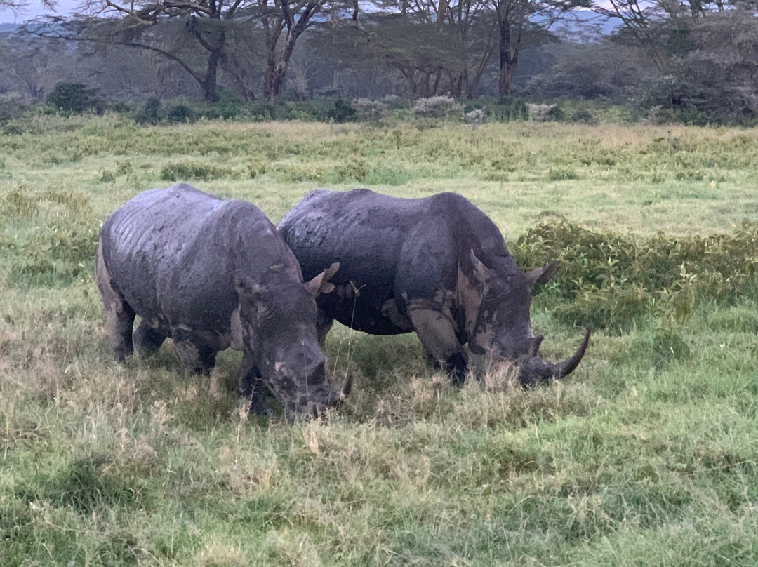 Classic Explorers-内罗毕必去景点