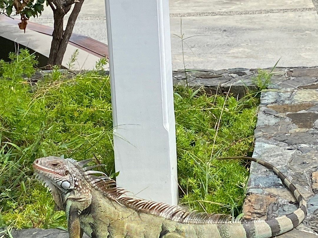 The Moorings Yacht Club Hotel主图