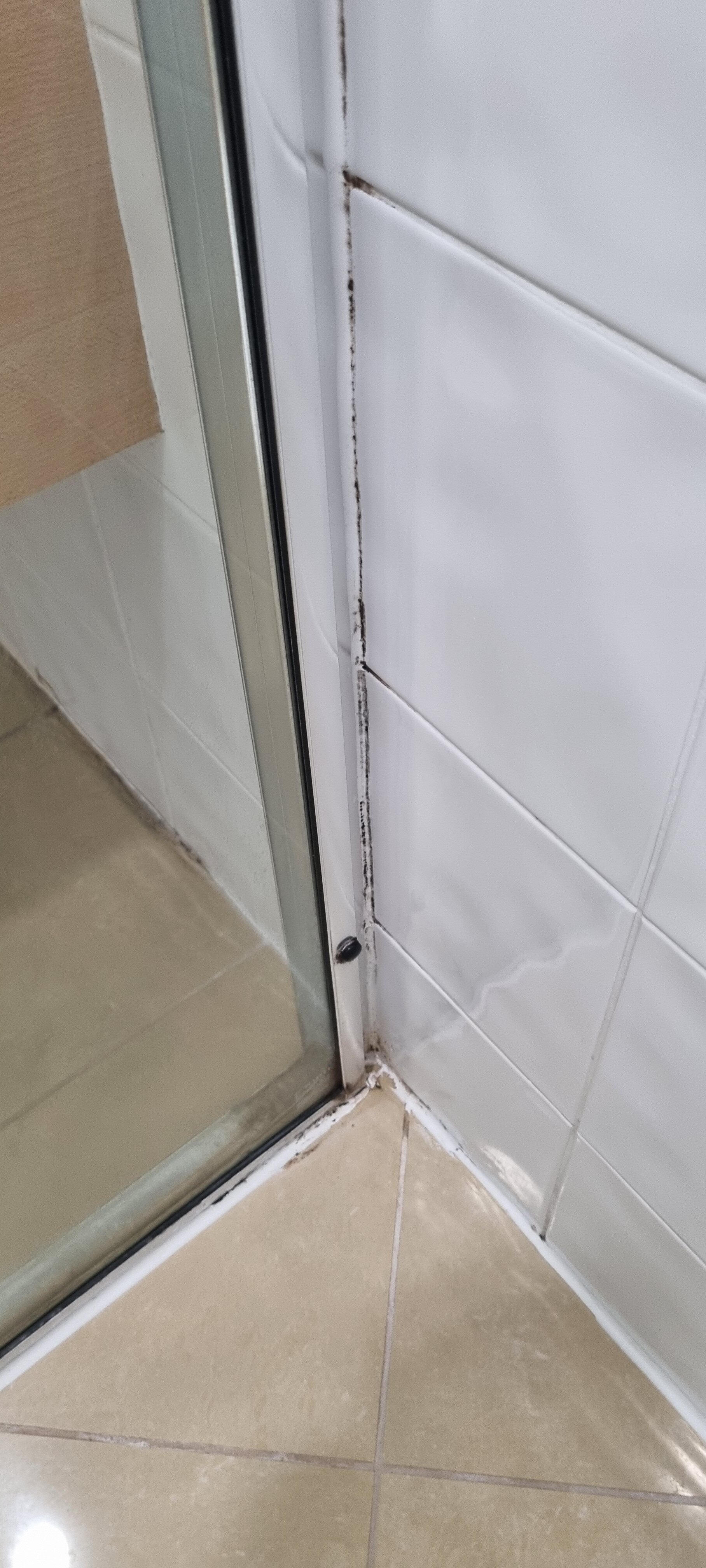 Mantra Mackay-浴室