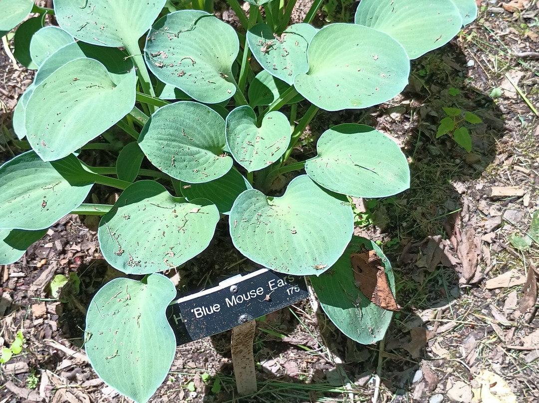 Skylands New Jersey Botanical Gardens-Ringwood必去景点
