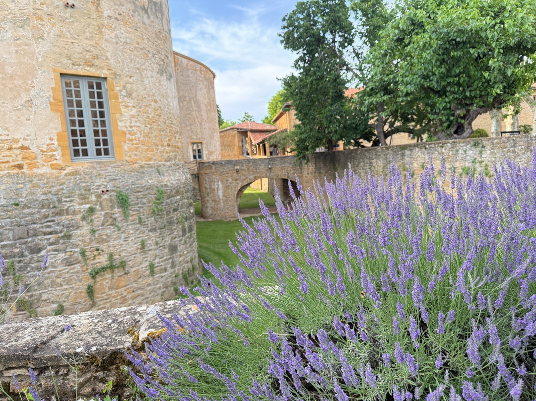 Eglise Saint-Blaise-巴约勒必去景点