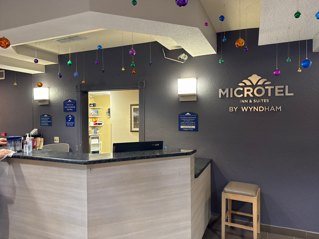 Microtel Inn & Suites by Wyndham Leesburg/Mt Dora主图