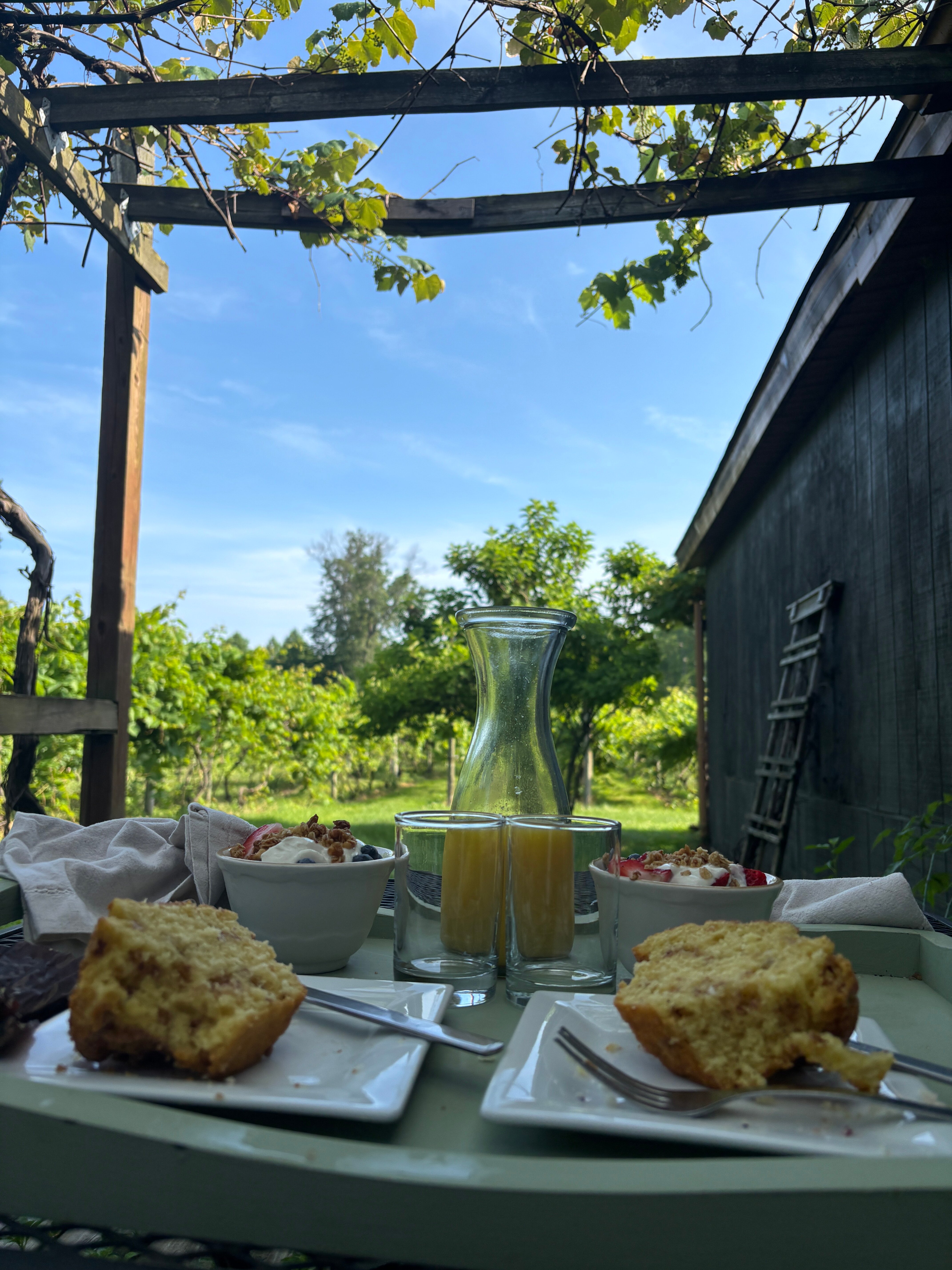 Buccia Vineyards Winery and B & B-酒店景观