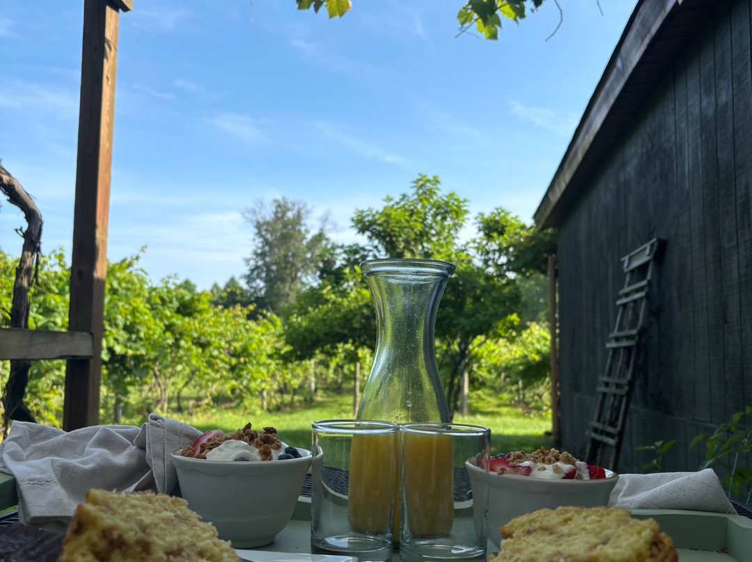 Buccia Vineyards Winery and B & B主图