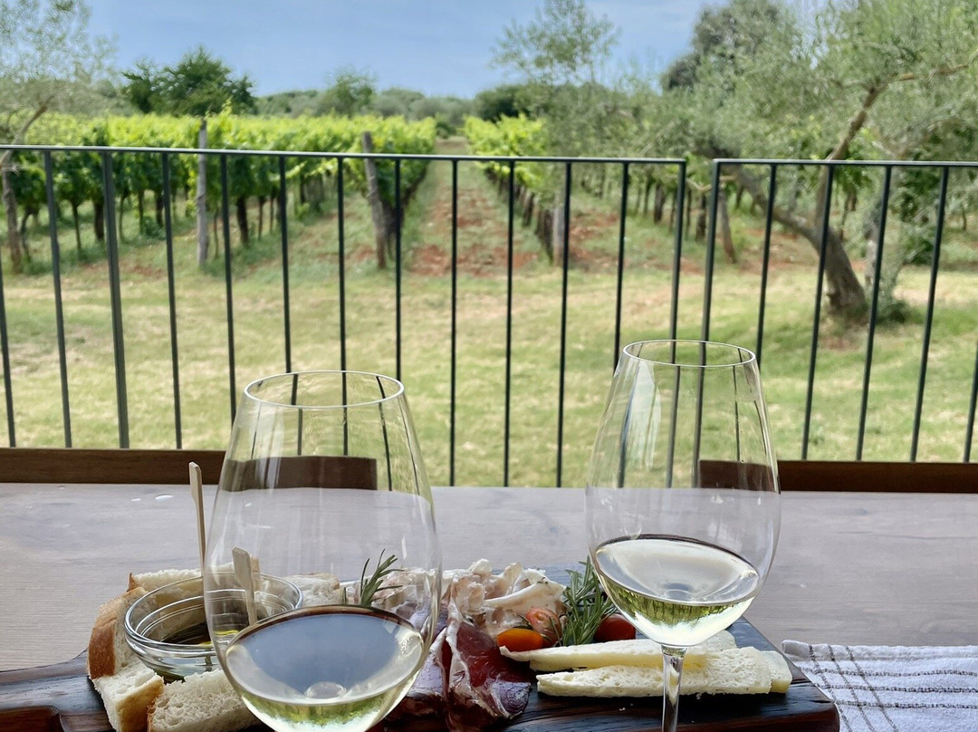 Mare Wines & Olive Oil-罗维尼必去景点