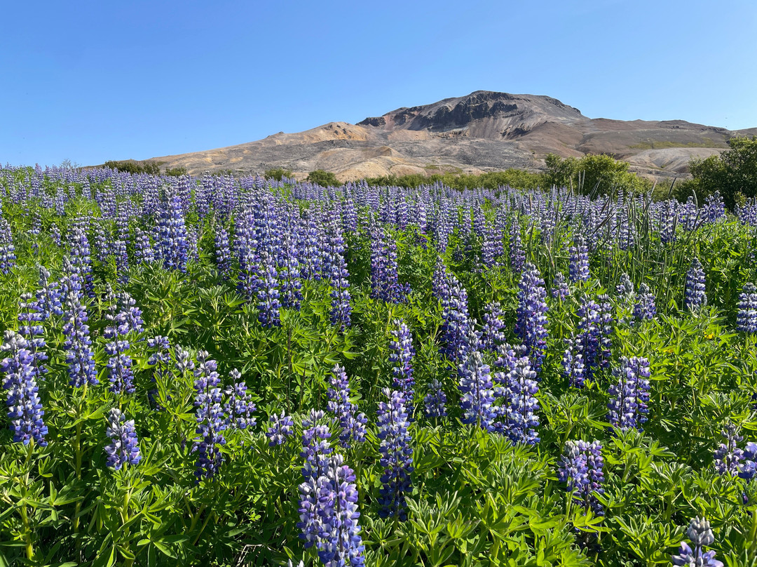 Dráphlíðarfjall-Stykkisholmur必去景点