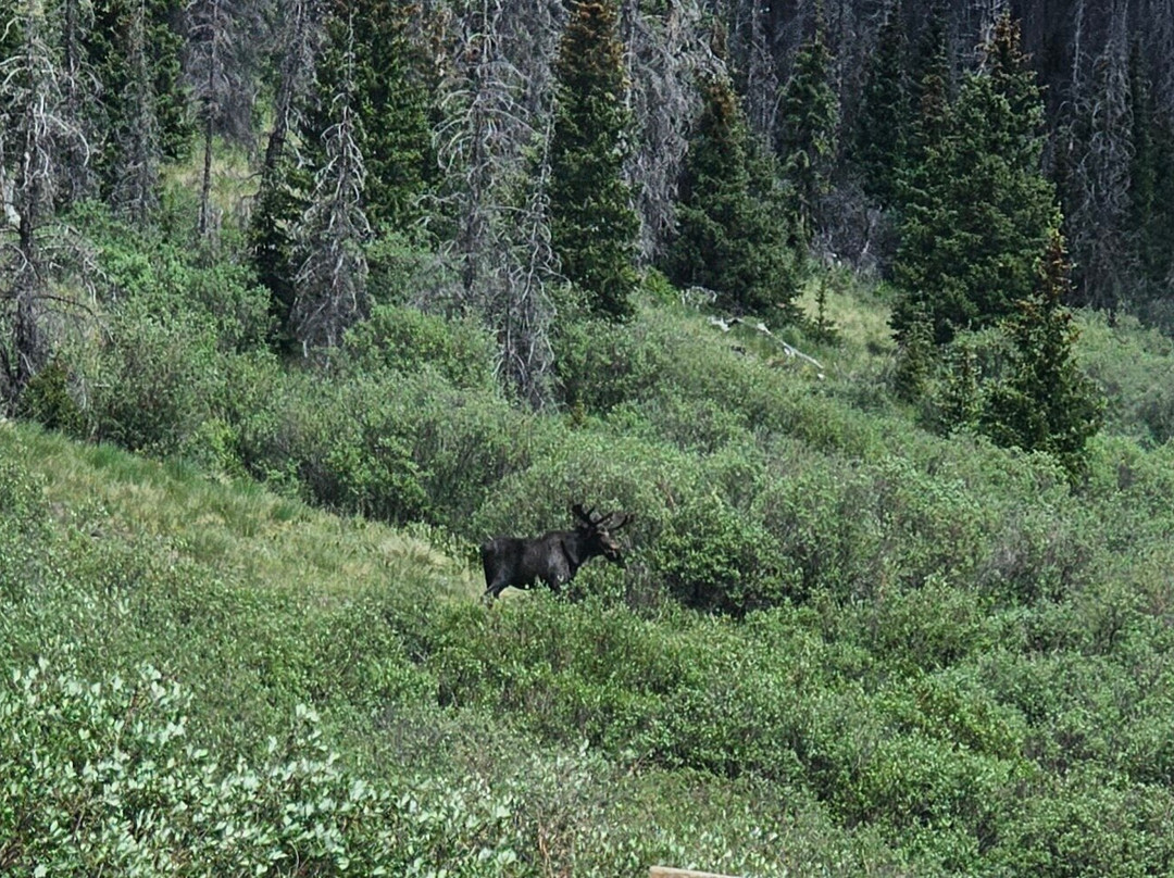 Creede Snowshoe Lodge主图