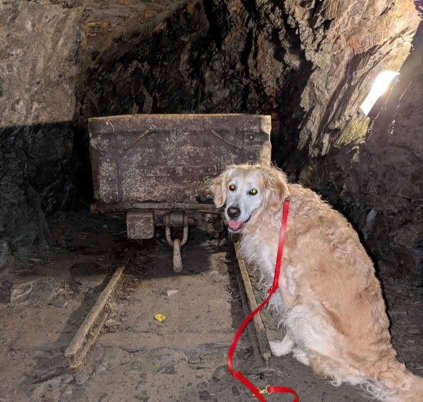 Chwarel Llanfair Slate Caverns-Harlech必去景点