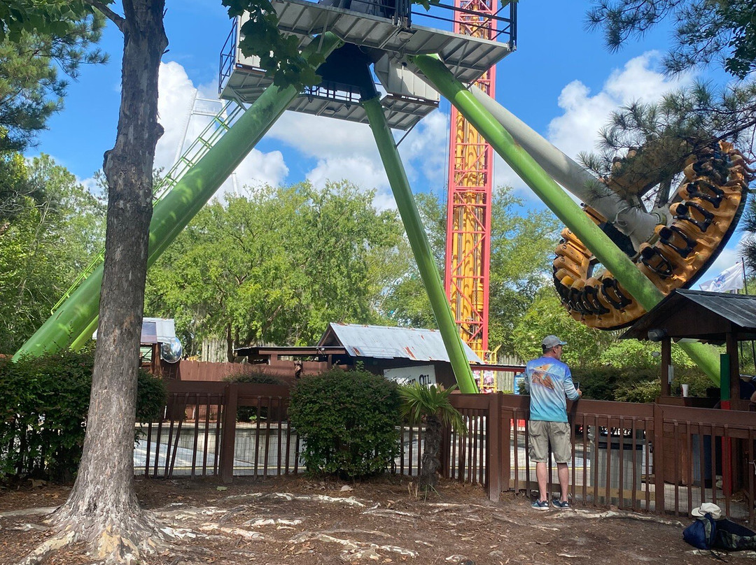 Wild Adventures Theme Park-瓦尔多斯塔必去景点