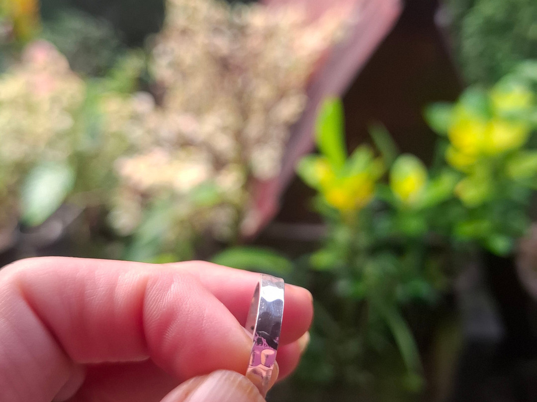 Ganeca Silver Class-苏卡瓦堤必去景点