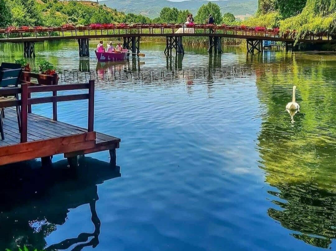 Driloni National Park-Pogradec必去景点