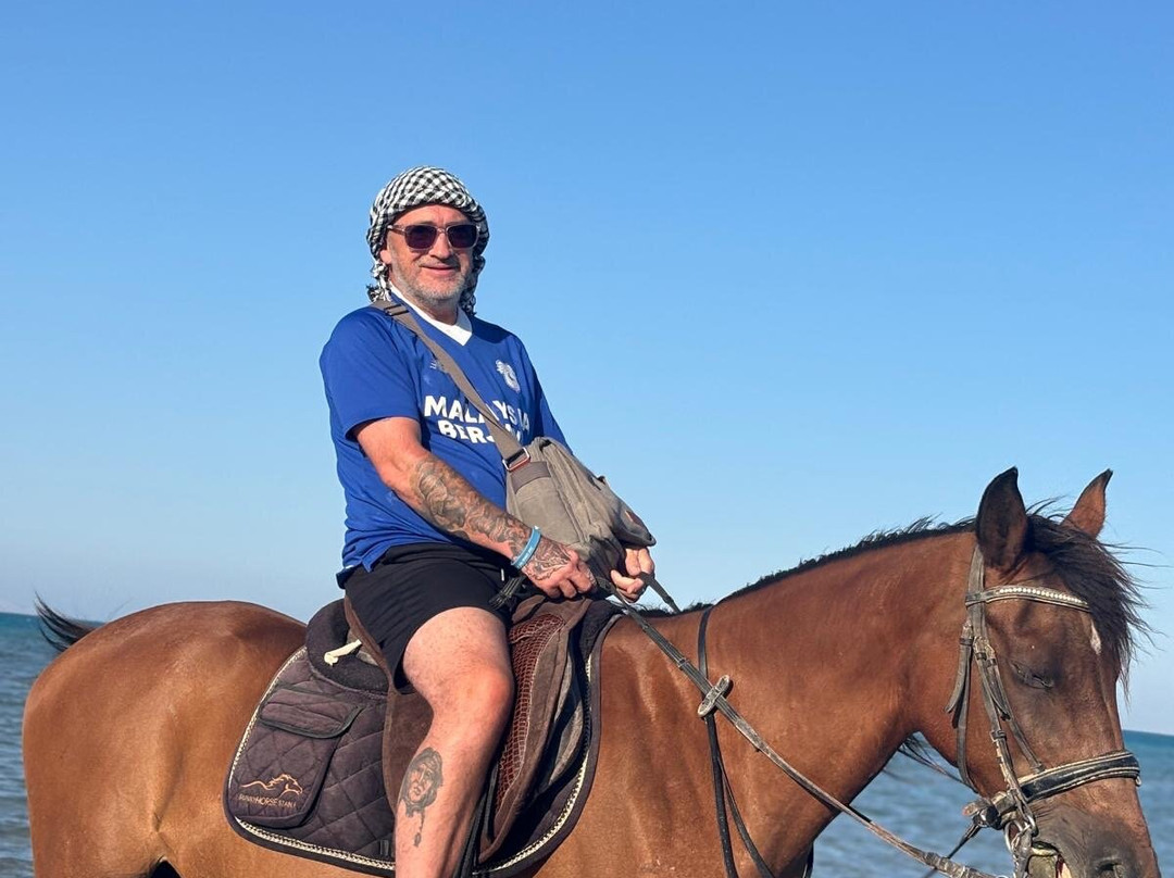 Egypt International-赫尔格达必去景点