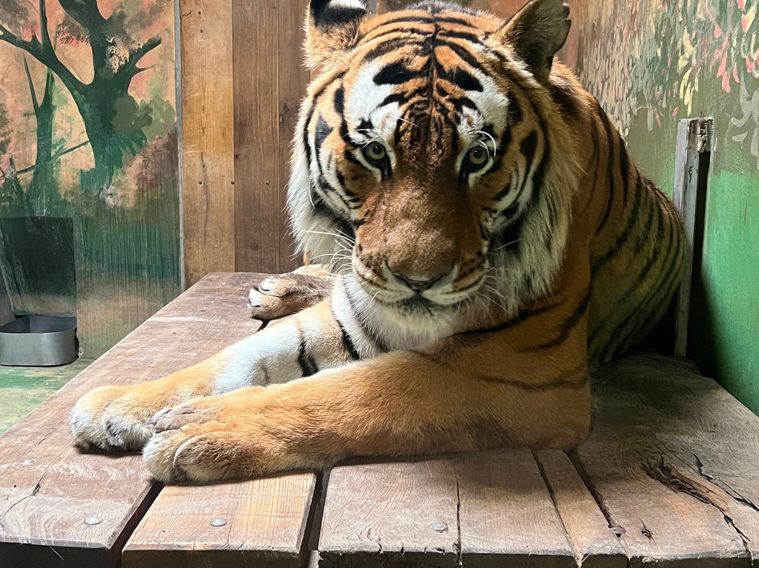 Zoo Hodonin-Hodonin必去景点