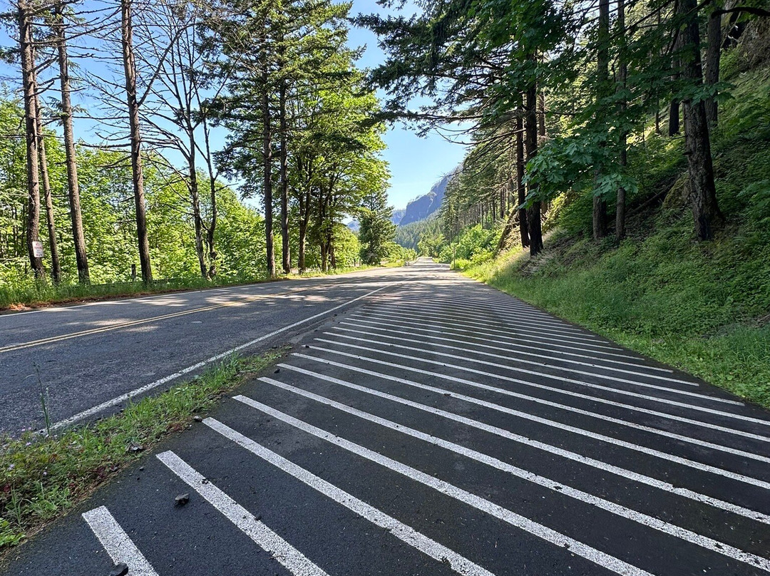 Oneonta Gorge-Cascade Locks必去景点