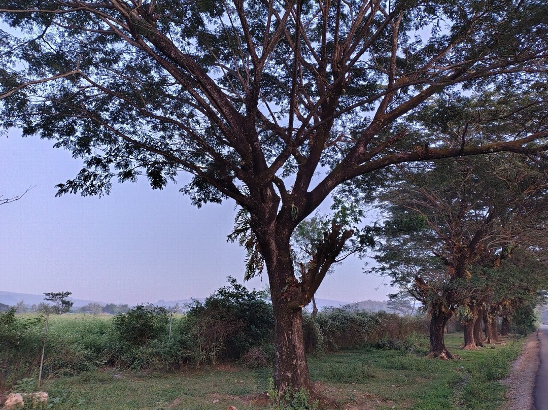 Uma Du'ut Cottage