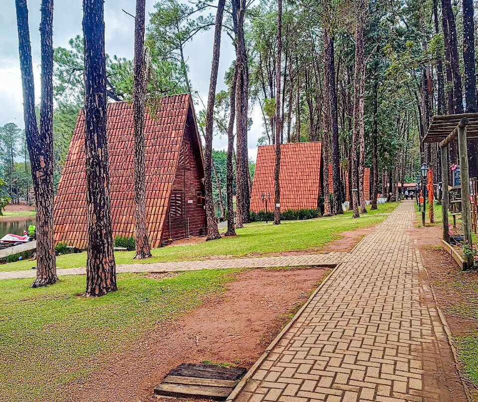 Parque Van Gogh-Holambra必去景点