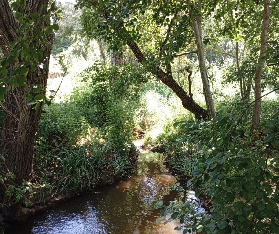 Moulin d'Antelon主图