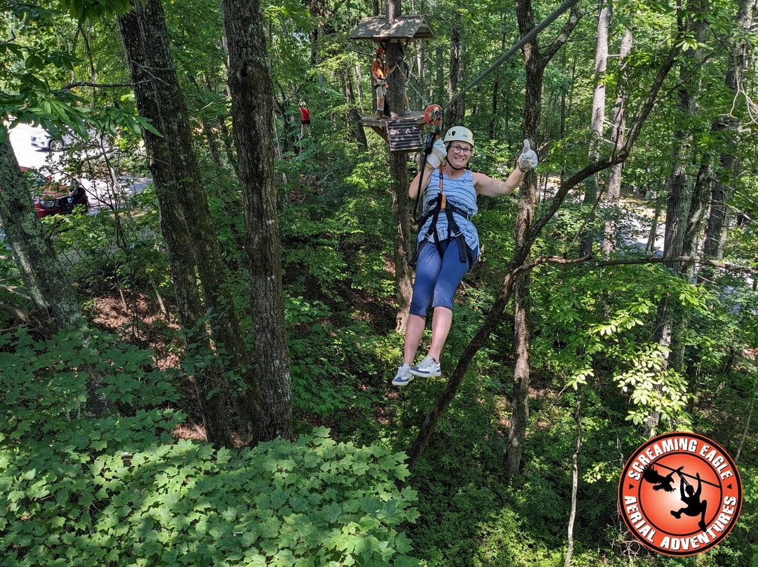 Unicoi Zip Line and Aerial Adventure Park-海伦必去景点