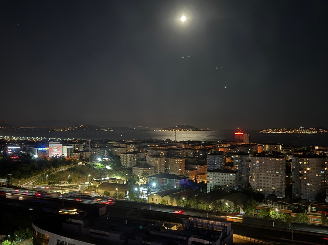 Dedeman Bostanci Istanbul Hotel & Convention Center主图