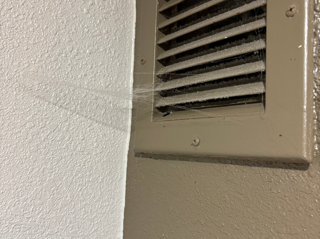 奥尔巴尼万豪酒店主图